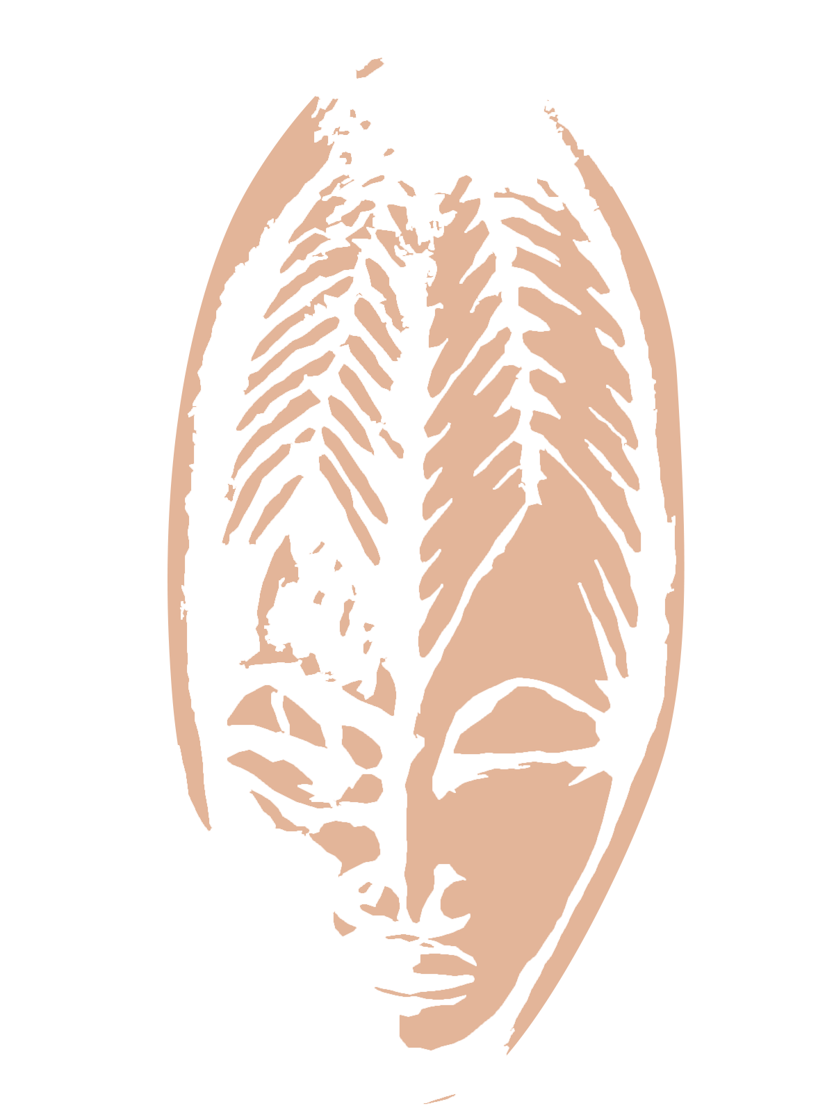 Masque