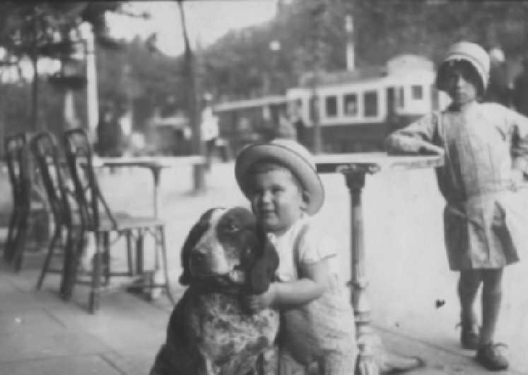 Photo 11 Chien